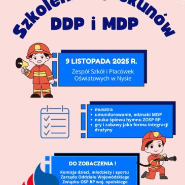 Szkolenie opiekunów DDP i MDP woj. opolskiego